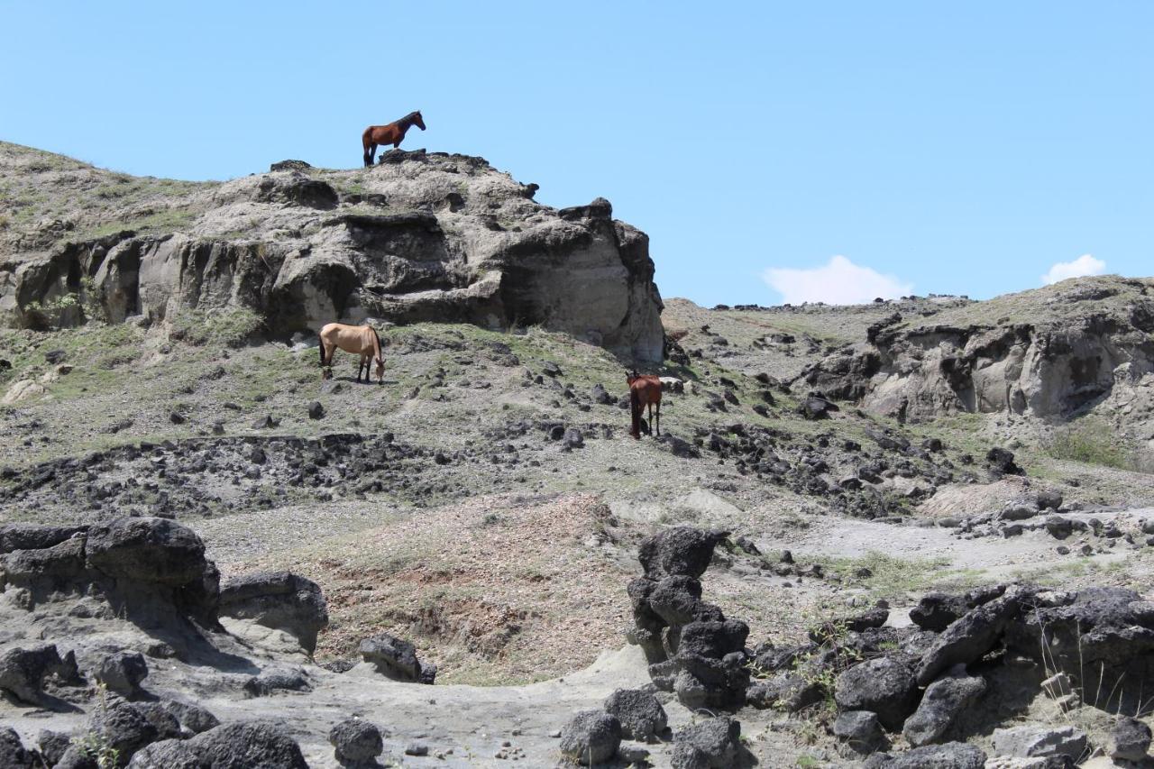 Pachingo Tatacoa Desert La Victoria  외부 사진